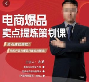 大圣·电商标品爆款卖点策划课,标品卖点成就爆款,可落地卖点提炼课-第一资源网