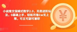 小说推文保姆式教学2.0,另类进阶玩法,0基础上手,轻松月撸1w无上限,可主可副可兼职-第一资源网