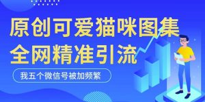 黑科技纯原创可爱猫咪图片,全网精准引流,实操5个VX号被加频繁-第一资源网
