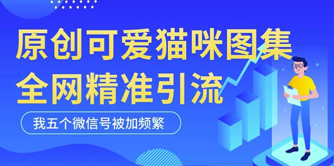 黑科技纯原创可爱猫咪图片，全网精准引流，实操5个VX号被加频繁-第一资源网