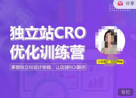 独立站CRO优化训练营，掌握独立站设计秘籍，打造高转化的独立站，让店铺ROI翻倍-第一资源网