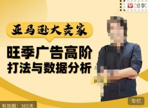 阿甘·亚马逊大卖家广告高阶打法与数据分析,走出传统广告误区;揭秘大卖惯用打法;数据驱动广告决策-第一资源网