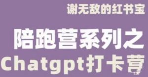 谢无敌ChatGPT打卡营,教你更好地使用ChatGPT来提高工作效率-第一资源网