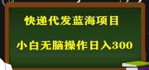 2023最新蓝海快递代发项目,小白零成本照抄也能日入300+-第一资源网
