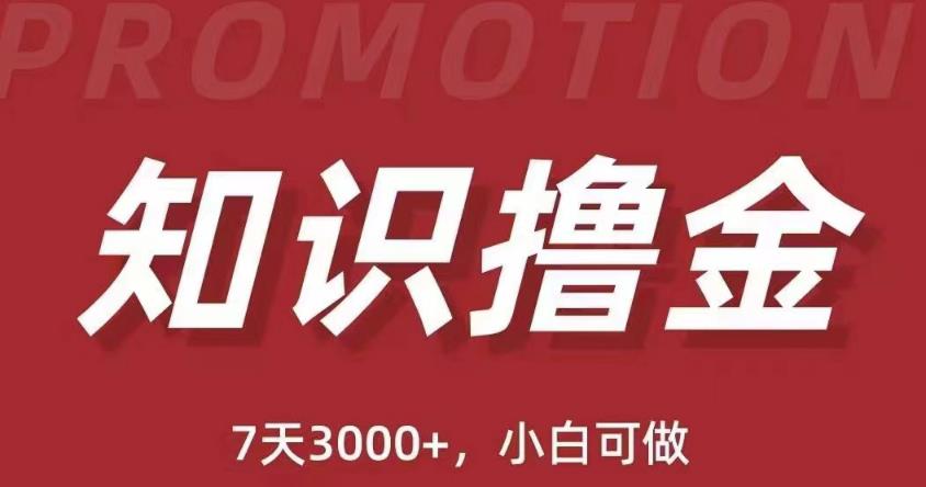 抖音知识撸金项目：简单粗暴日入1000+执行力强当天见收益(教程+资料)-第一资源网
