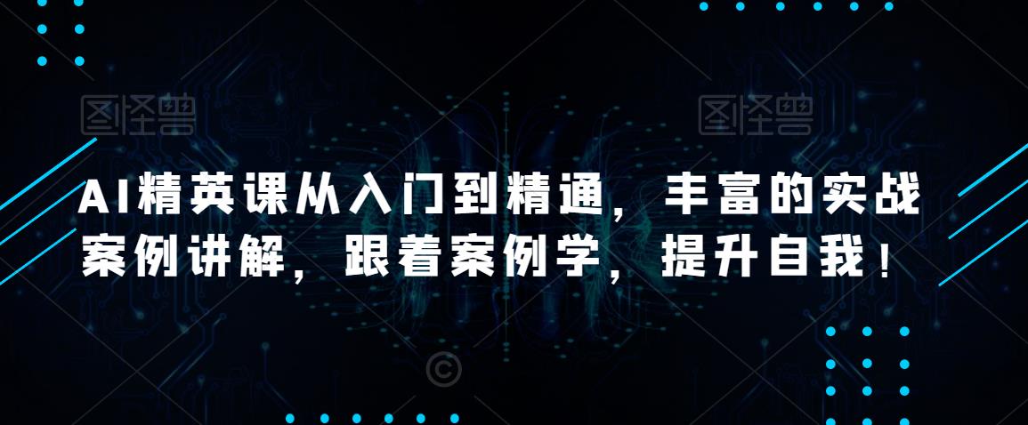 AI精英课从入门到精通，丰富的实战案例讲解，跟着案例学，提升自我！-第一资源网