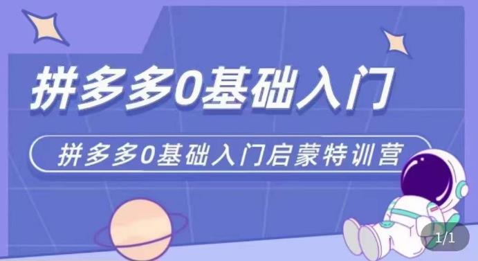 拼多多运营0-1实操特训营，拼多多0基础入门，从基础到进阶的可实操玩法-第一资源网