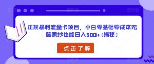 正规暴利流量卡项目,小白零基础零成本无脑照抄也能日入300+【揭秘】-第一资源网