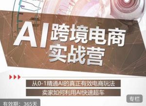 白龙老师·AI跨境电商实战营:从0-1精通Al的真正有效电商玩法,卖家如何利用Al快速超车-第一资源网