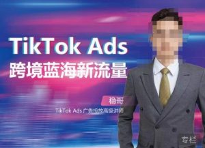 稳哥·如何投出高ROI的TikTok广告,开拓独立站卖家流量新蓝海-第一资源网