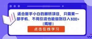 适合新手小白的搬砖项目，只需要一部手机、不用引流也能做到日入300+【揭秘】-第一资源网