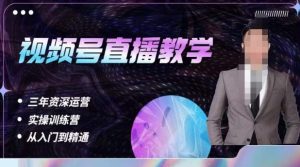 杨sir·视频号直播运营教学,视频号直播流量的底层逻辑,解决直播间没流量,不开单的窘境-第一资源网