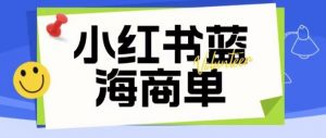 价值2980的小红书商单项目暴力起号玩法，一单收益200-300（可批量放大）-第一资源网