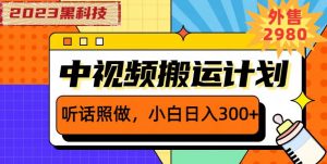 外面卖2980元2023黑科技操作中视频撸收益,听话照做小白日入300+-第一资源网