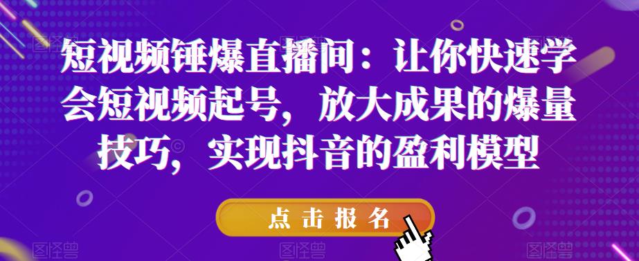 短视频锤爆直播间：让你快速学会短视频起号，放大成果的爆量技巧，实现抖音的盈利模型-第一资源网