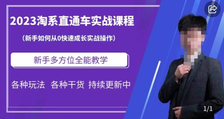 2023淘系直通车保姆式运营讲解，新手如何从0快速成长实战操作，新手多方位全能教学-第一资源网