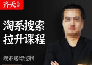 齐天电商·淘系搜索提升课程，​搜索递增标准化，动销标准化流程-第一资源网