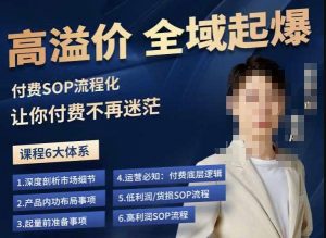 逸风-拼多多高溢价全域起爆，6大课程体系，付费玩法全套实操-第一资源网