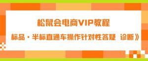 松鼠会电商VIP教程：松鼠《付费推广标品·半标直通车操作针对性答疑&诊断》-第一资源网