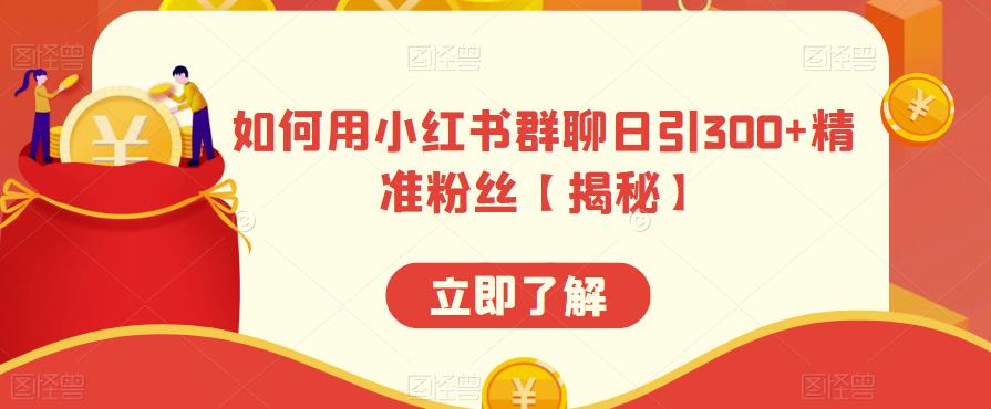如何用小红书群聊日引300+精准粉丝【揭秘】-第一资源网