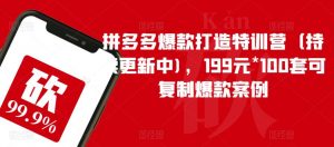 拼多多爆款打造特训营（持续更新中)，199元*100套可复制爆款案例-第一资源网