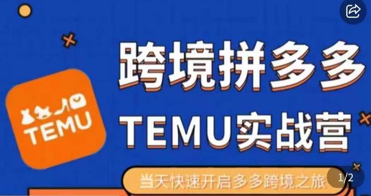 大鹏出海·拼多多跨境temu运营指导，开店注册+选品+核价上架，日出千单实战课-第一资源网