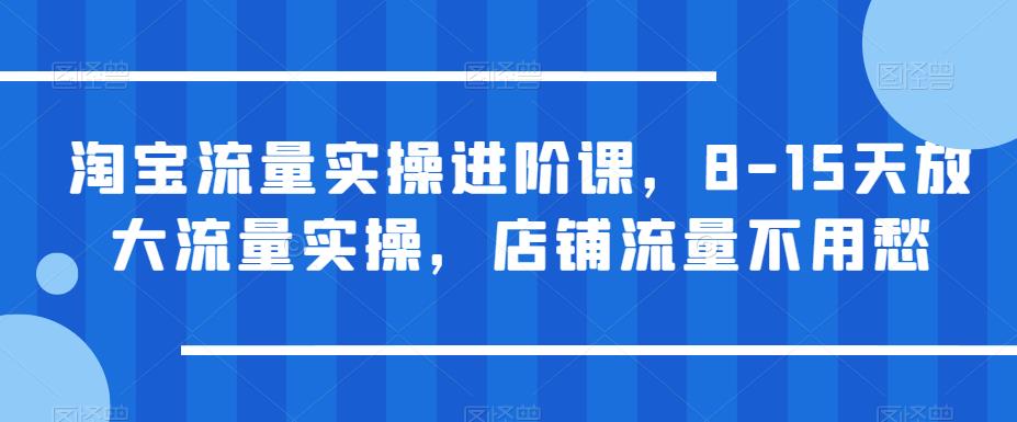 淘宝流量实操进阶课，8-15天放大流量实操，店铺流量不用愁-第一资源网