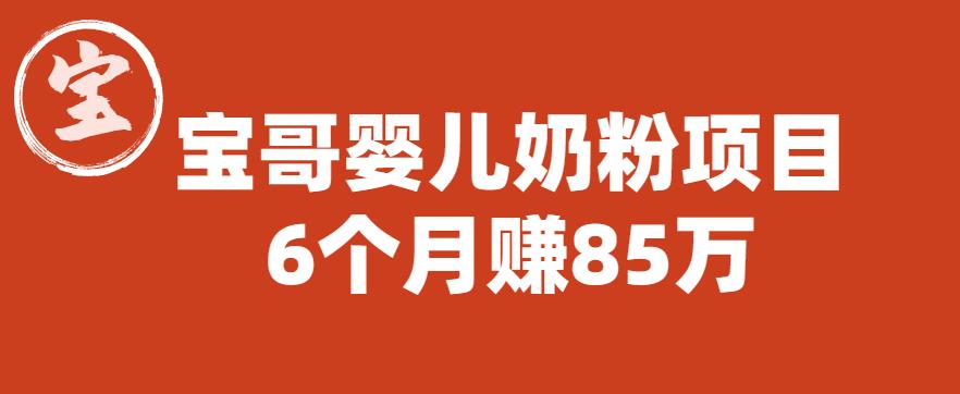 宝哥婴儿奶粉项目，6个月赚85w【图文非视频】【揭秘】-第一资源网