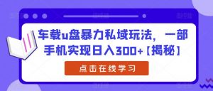 车载u盘暴力私域玩法,一部手机实现日入300+【揭秘】-第一资源网