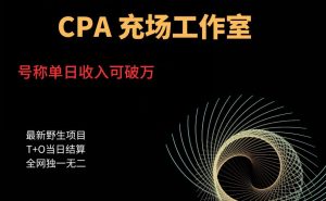 cpa充场工作室，号称单日收入10000+（揭秘）-第一资源网
