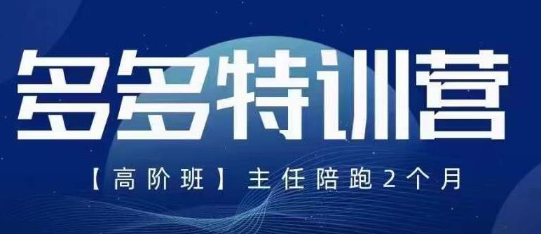 纪主任·5月最新多多特训营高阶班，玩法落地实操，多多全掌握-第一资源网