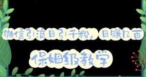 微信互推圈半自动引流方案,矩阵操作日引千人思路【详细视频教程】-第一资源网