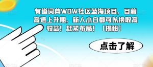 有道词典WOW社区蓝海项目，目前高速上升期，新人小白都可以换取高收益！赶紧布局！【揭秘】-第一资源网
