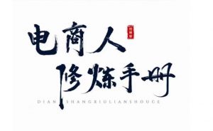 照顾酱·电商人修炼手册,从0到1,手把手教你理解淘宝运营底层逻辑-第一资源网