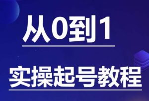 石野·小白起号实操教程,掌握各种起号的玩法技术,了解流量的核心-第一资源网