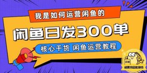 我是如何在闲鱼卖手机的，日发300单的秘诀是什么？【揭秘】-第一资源网
