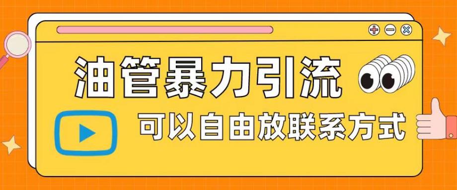 油管暴力引流，可以自由放联系方式【揭秘】-第一资源网