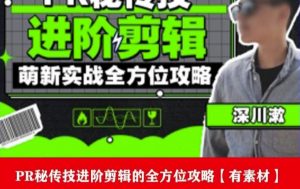 PR进阶剪辑培训班,让你快速成为剪辑大师12节视频课程+素材!-第一资源网