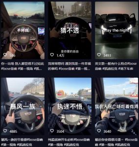 抖音开车视频项目，0基础操作，每天五分钟，月入1W+【揭秘】-第一资源网