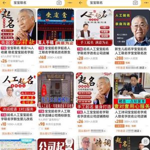 拆解小红书宝宝起名虚拟副业项目,一条龙实操玩法分享给你(教程+软件)-第一资源网