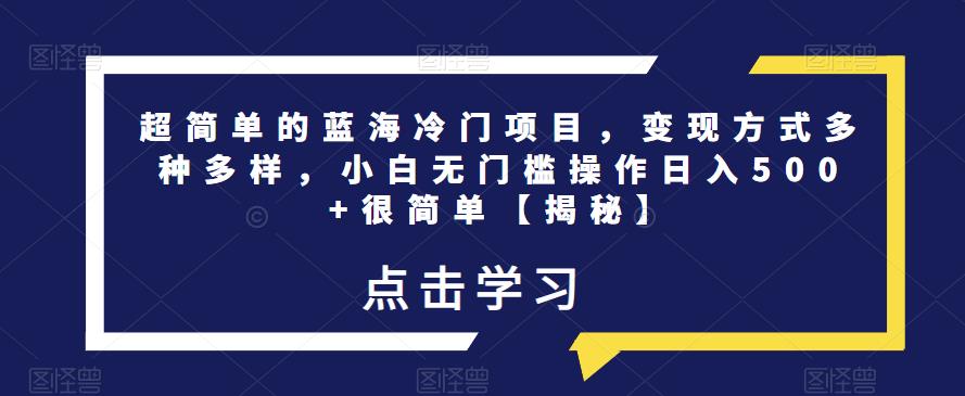 超简单的蓝海冷门项目，变现方式多种多样，小白无门槛操作日入500+很简单【揭秘】-第一资源网