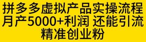 拼多多虚拟产品实操流程，月产5000+利润，还能引流精准创业粉【揭秘】-第一资源网