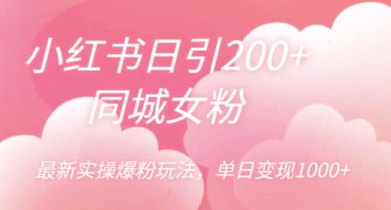 小红书日引200+同城女粉，最新实操爆粉玩法，单日变现1000+【揭秘】-第一资源网