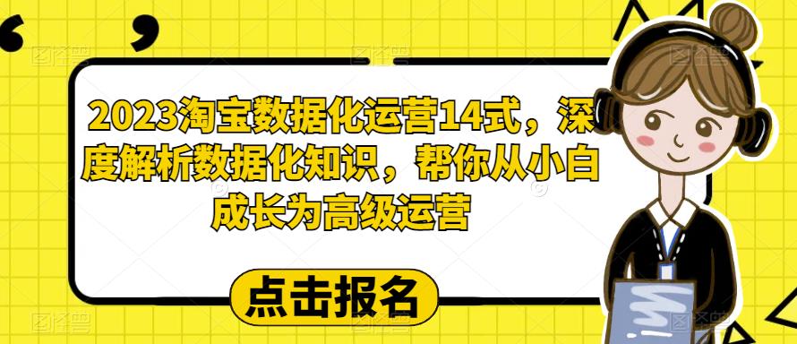 2023淘宝数据化运营14式，深度解析数据化知识，帮你从小白成长为高级运营-第一资源网