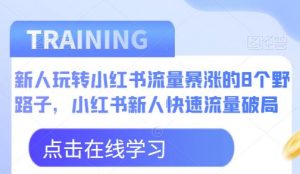 新人玩转小红书流量暴涨的8个野路子,小红书新人快速流量破局-第一资源网