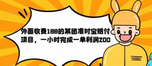 外面收费188的美团准时宝赔付项目，一小时完成一单利润200【仅揭秘】-第一资源网