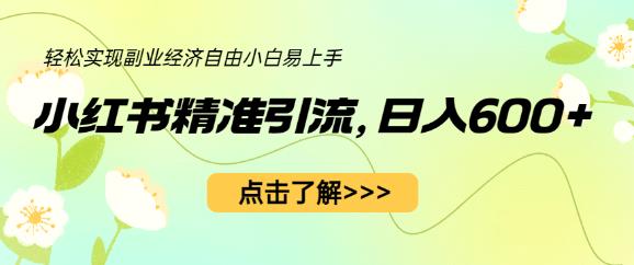 小红书精准引流，小白日入600+，轻松实现副业经济自由（教程+1153G资源）-第一资源网