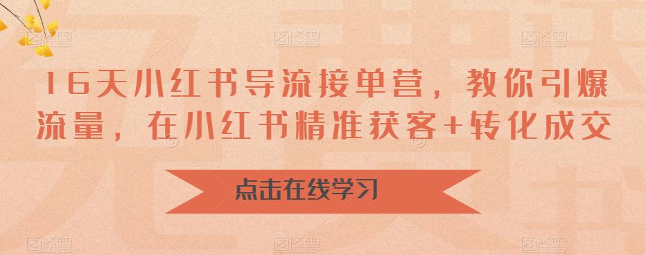16天小红书导流接单营，教你引爆流量，在小红书精准获客+转化成交-第一资源网