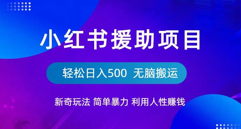 小红书援助项目新奇玩法，简单暴力，无脑搬运轻松日入500【揭秘】-第一资源网