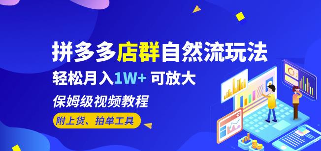 拼多多店群自然流玩法，轻松月入1W+保姆级视频教程（附上货、拍单工具）-第一资源网
